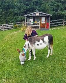 Reliable pet sitting available.. - Photo 9