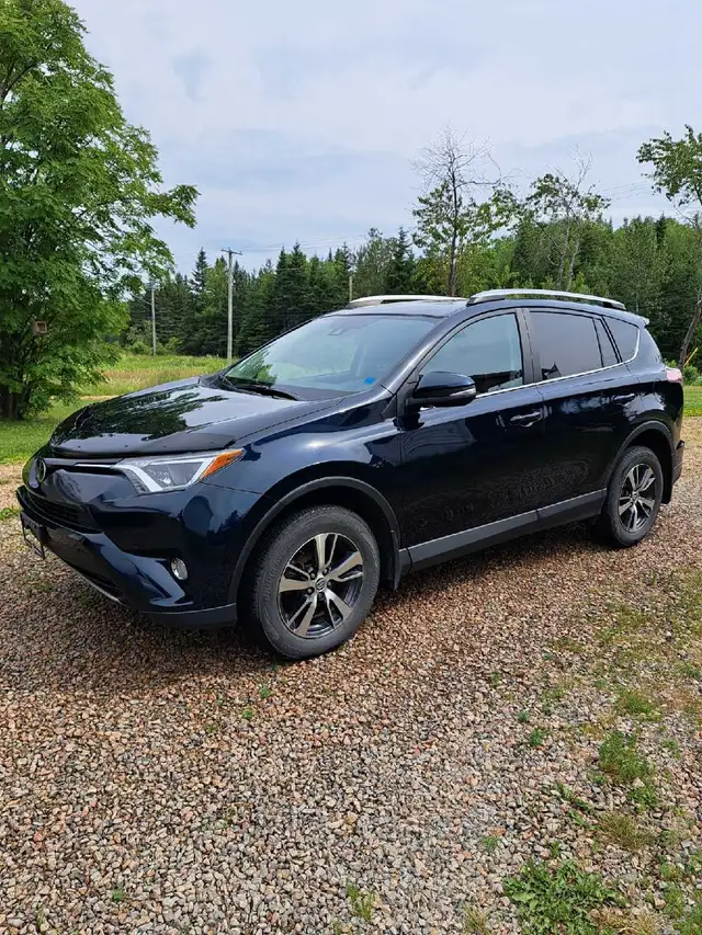 2017 Toyota Rav4 XLE for sale