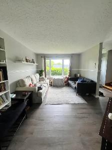 3 BR 1 BATH SEMI-DETACHED COLE HARBOUR HOME AVAILABLE OCT 1