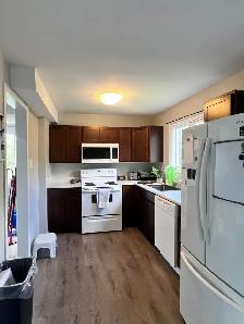 3 BR 1 BATH SEMI-DETACHED COLE HARBOUR HOME AVAILABLE OCT 1 - Photo 2
