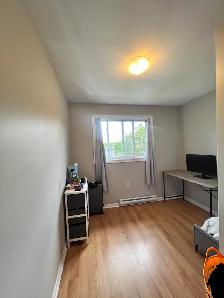 3 BR 1 BATH SEMI-DETACHED COLE HARBOUR HOME AVAILABLE OCT 1 - Photo 6