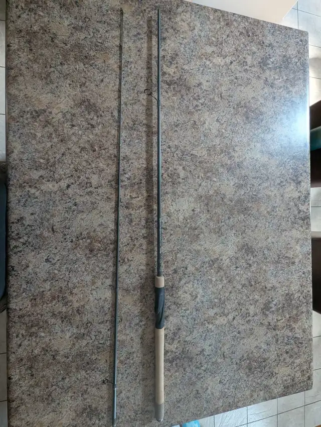Fenwick Eagle Spinning Rod