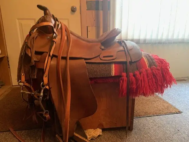 15' western saddle