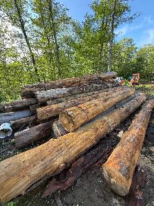 Norwood portable sawmill - Photo 7