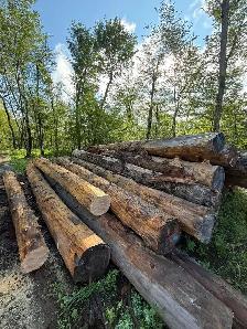 Norwood portable sawmill - Photo 8