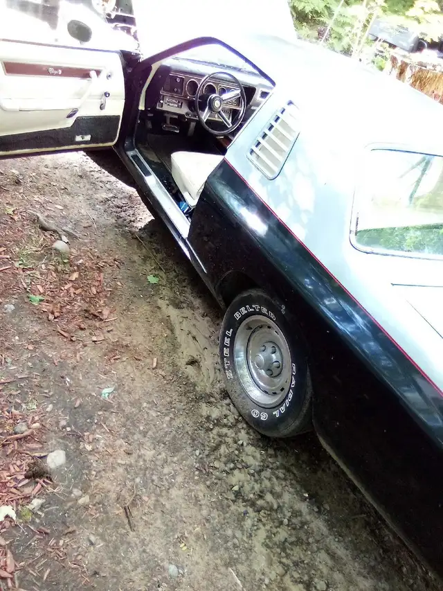 1976 CHARGER SE $ 5900 $