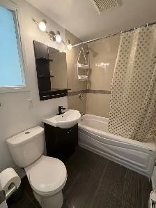 IMMEDIATELY AVAILABLE 3 1/2 near Côte-des-Neiges metro - Photo 4