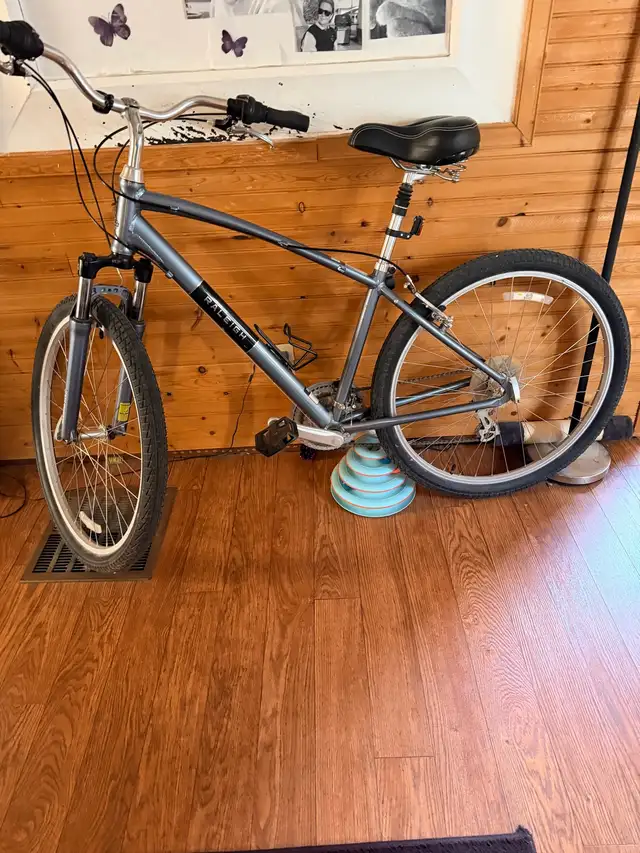 Raleigh bike for sale