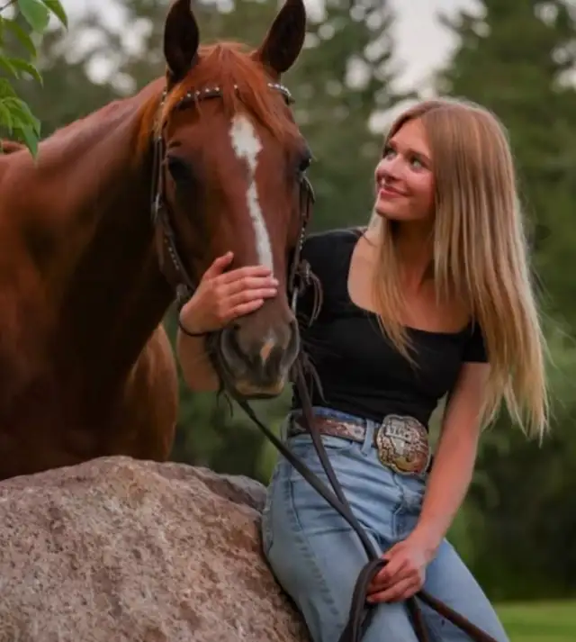 horse for sale