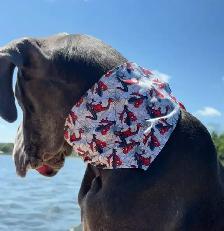 Pet Bandanas - Photo 8