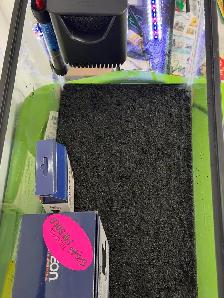 Aqueon 10 Gallon Aquarium Setup NEED GONE ASAP - Photo 4