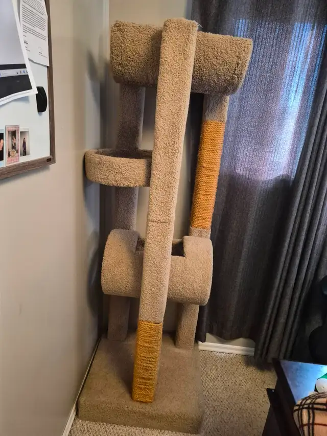 6 ft, 3 level cat stand and scratch post