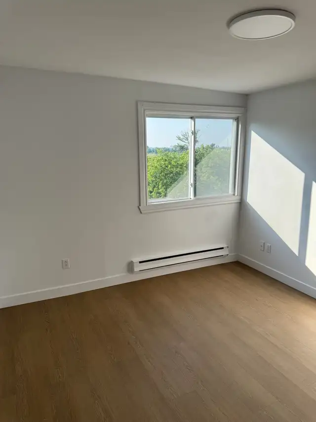 Longueuil grand et superbe 4 1/2  rénové, libre en Août