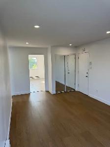 Longueuil grand et superbe 4 1/2  rénové, libre en Août - Photo 4