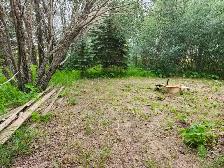 Acreage for sale - Photo 5