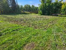 Acreage for sale - Photo 14