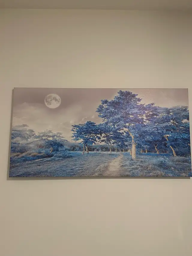 toile décorative