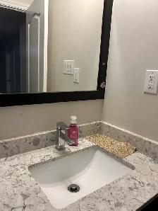 AMAZING CLEAN AND LUXURY BASEMENT FOR RENT - Photo 6