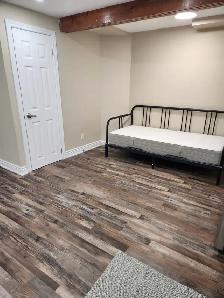 1 Bedroom Basement Apartment - Photo 6