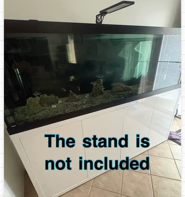 125 gallons tank and canister filters