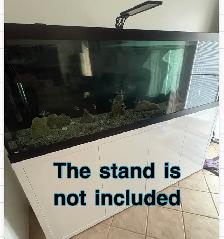 125 gallons tank and canister filters