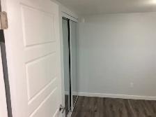 Basement Apartment near IKEA (Ottawa West) - Photo 5