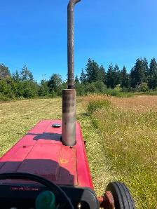 First Cut Hay - Photo 2