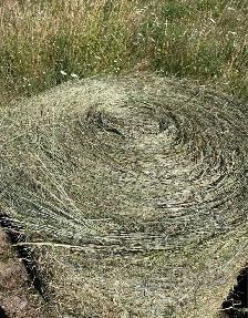 First Cut Hay - Photo 5