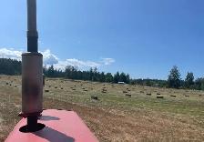 First Cut Hay - Photo 10