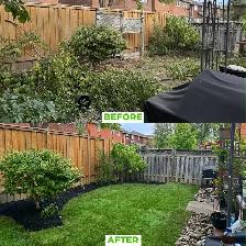 Professional Landscaping Services – Free Estimates