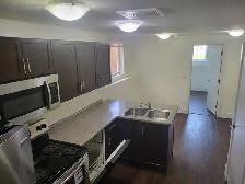2 bed 1 bath legal basement for rent in Evergreen - Photo 2
