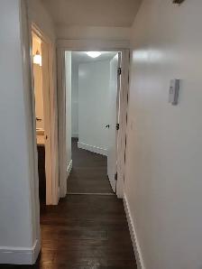 2 bed 1 bath legal basement for rent in Evergreen - Photo 7