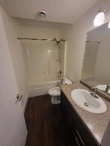 2 bed 1 bath legal basement for rent in Evergreen - Photo 8
