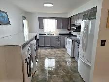 8.1-Large Sunny Rm for a Working Pro.-All Included-Short or Long - Photo 8