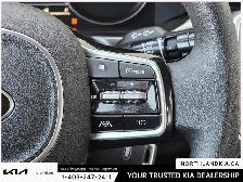 2021 Kia Sorento LX Plus - Photo 14
