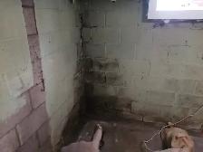 SNAKE DRAIN ROUGH IN WASHROOM SUMP PUMP ISSUE WATERPROOFING WET - Photo 6