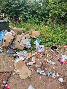 Reliable Junk Removal & Eco-Friendly Disposal | Oliver & Sons - Photo 8