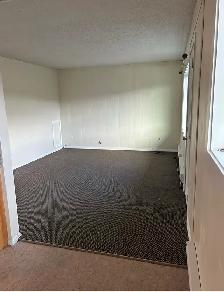 2 Bedroom Downtown Apt - Photo 5