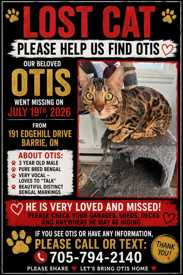 MISSING BENGAL