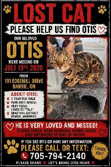 MISSING BENGAL