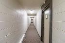 2 Bedroom Apartment - New appliances, Modern Upgrades! - Photo 7