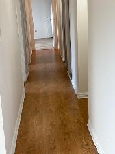 Boucherville, grand 5 1/2 tout rénové, libre 1er aout $1680/mois - Photo 10