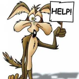need help asap