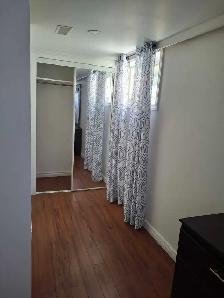 Furnished basement Apartment for Rent - Photo 8