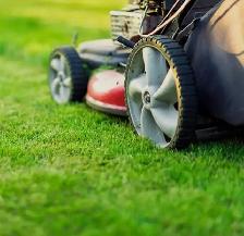 Lawn Care & Grass Installation