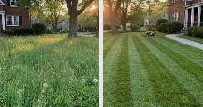 Lawn Care & Grass Installation - Photo 4