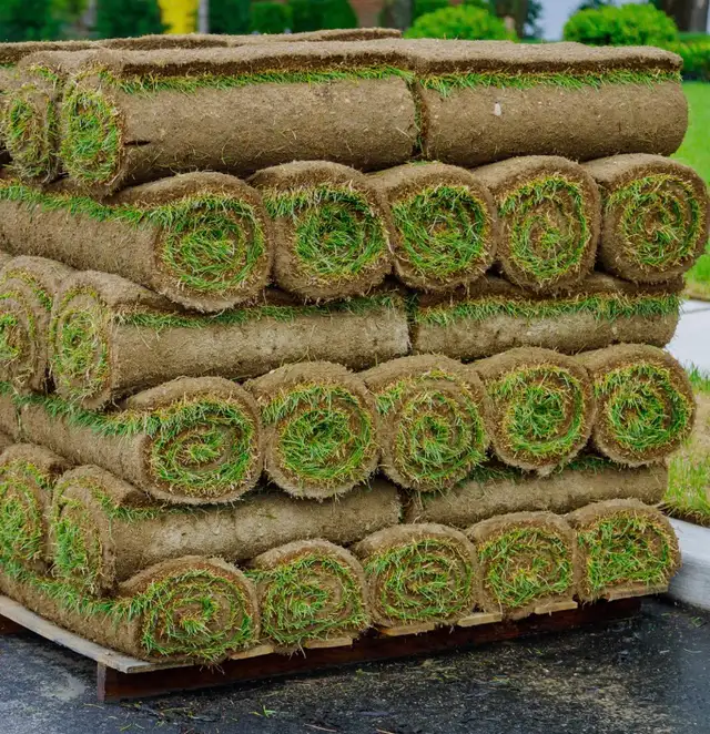 grass cutting &SOD