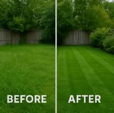 grass cutting & SOD - Photo 3