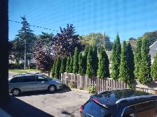 Luxury 1-Bedroom Apartment for rent for August 1, 2026 - Photo 11