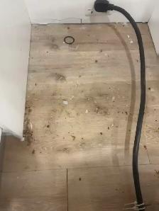✨ Reliable Cleaning Lady – Professional, Detailed & Affordable! - Photo 6